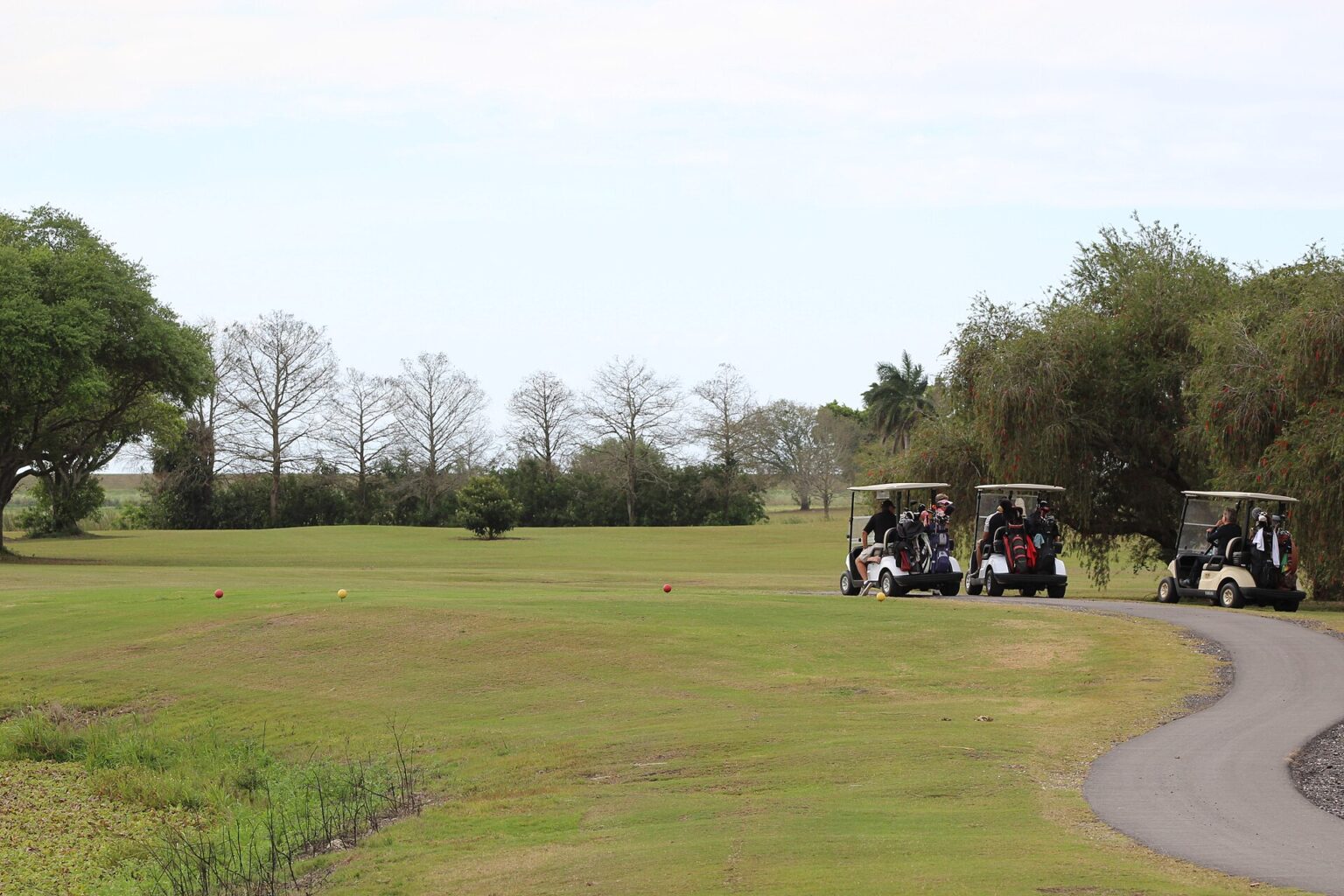 Fix Golf Oyunu
